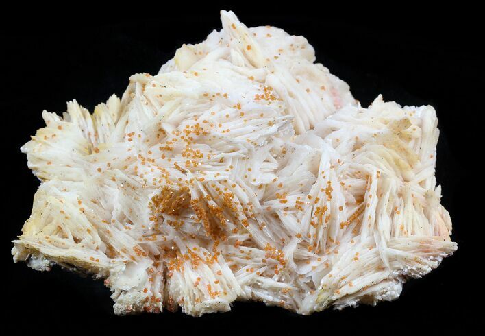 Red-Orange Vanadinite Crystals on Barite - Morocco #57266